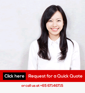 translation services singapore